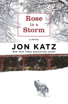 Rose in a storm : a novel  Cover Image