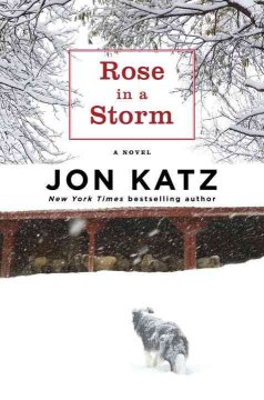 Rose in a storm : a novel  Cover Image