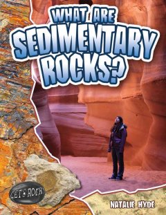 What are sedimentary rocks?  Cover Image