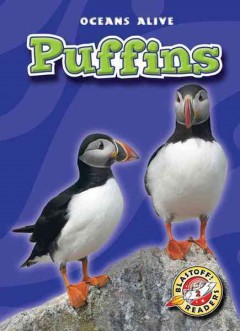 Puffins  Cover Image