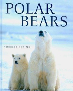 Polar bears  Cover Image