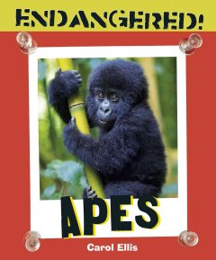 Apes  Cover Image