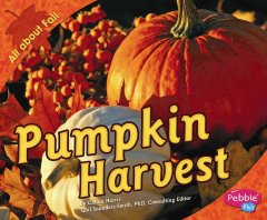 Pumpkin harvest  Cover Image