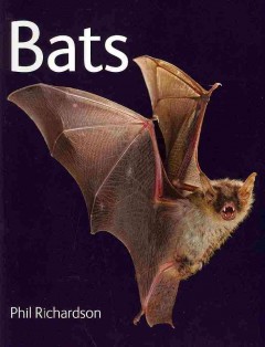 Bats  Cover Image