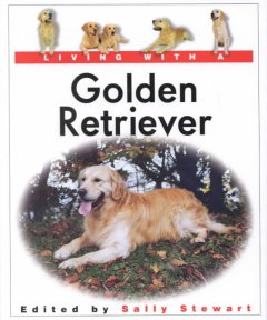 Living with a golden retriever  Cover Image