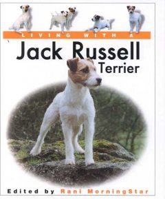 Living with a Jack Russell terrier  Cover Image