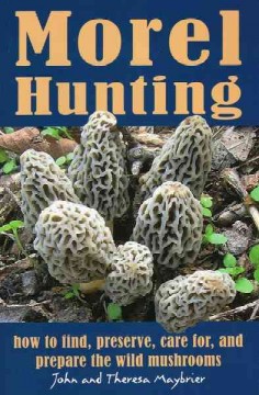 Morel hunting  Cover Image