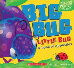 Big bug, little bug : a book of opposites  Cover Image