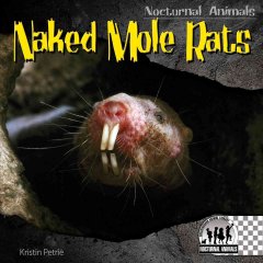 Naked mole rats  Cover Image