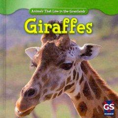 Giraffes  Cover Image