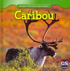 Caribou  Cover Image
