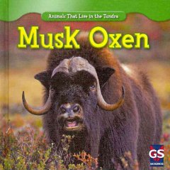 Musk oxen  Cover Image