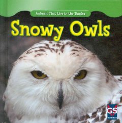 Snowy owls  Cover Image