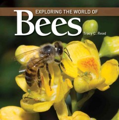 Exploring the world of bees  Cover Image