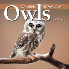 Exploring the world of owls  Cover Image