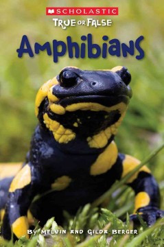 Amphibians  Cover Image