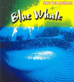 Blue whale  Cover Image