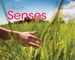 Senses  Cover Image