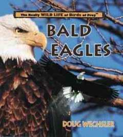 Bald eagles  Cover Image