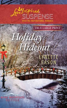 Holiday hideout  Cover Image