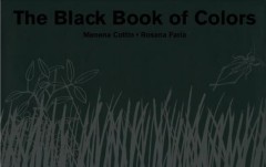 The black book of colors  Cover Image