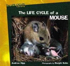 The life cycle of a mouse  Cover Image