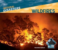 Wildfires  Cover Image