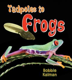 Tadpoles to frogs  Cover Image