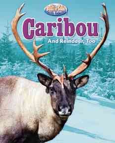 Caribou : and reindeer, too  Cover Image