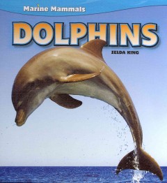 Dolphins  Cover Image