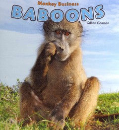 Baboons  Cover Image