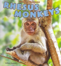 Rhesus monkeys  Cover Image