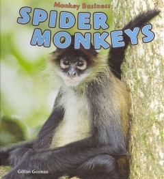 Spider monkeys  Cover Image