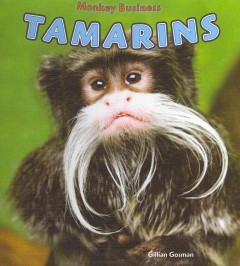 Tamarins  Cover Image