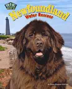 Newfoundland : water rescuer  Cover Image