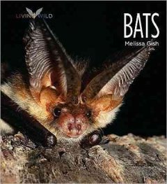 Bats  Cover Image