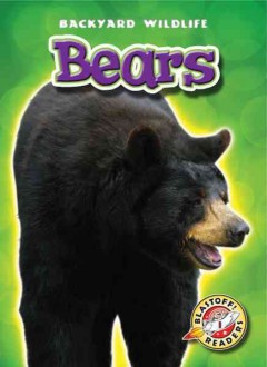 Bears  Cover Image