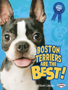 Boston terriers are the best!  Cover Image