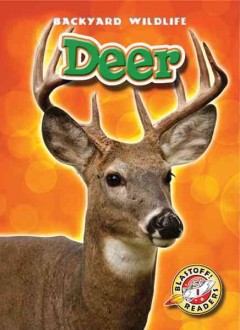 Deer  Cover Image