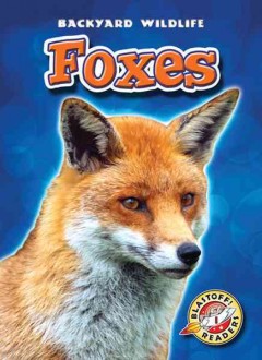 Foxes  Cover Image