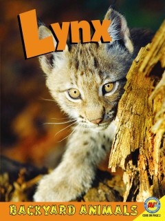 Lynx  Cover Image
