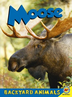 Moose  Cover Image