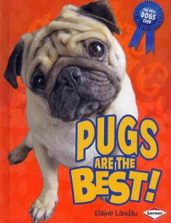 Pugs are the best!  Cover Image