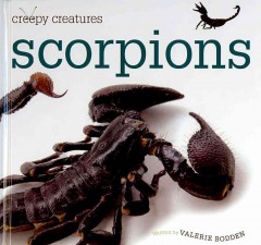 Scorpions  Cover Image