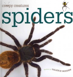 Spiders  Cover Image
