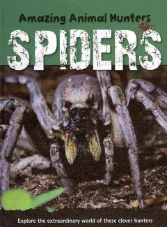 Spiders  Cover Image