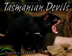 Tasmanian devils  Cover Image