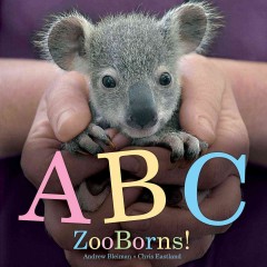 ABC zooborns!  Cover Image