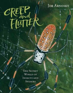 Creep and flutter : the secret world of insects and spiders  Cover Image