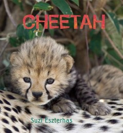 Cheetah  Cover Image